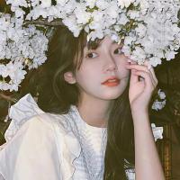 绿叶NPV加速器iOS版用户LISA,很满意绿叶NPV加速器iOS版